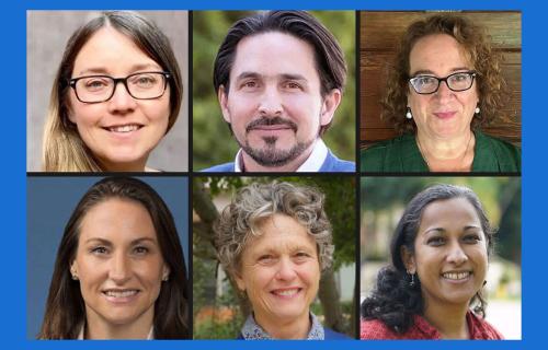 Composite of the six 2025 UCLA Public Impact Research Award