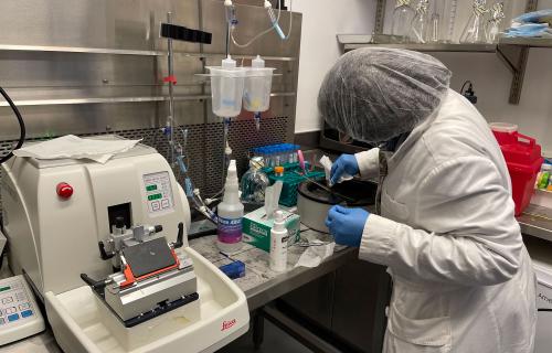 Student at a lab station